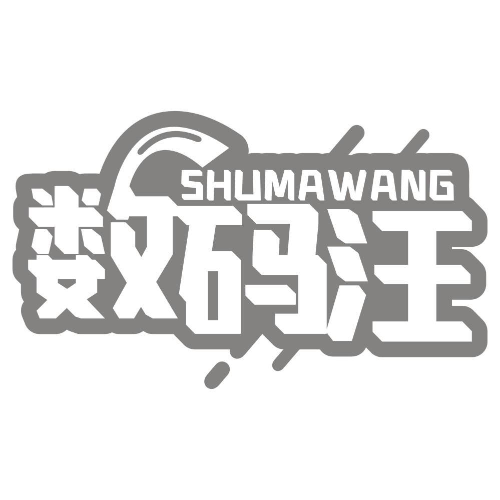 数码汪