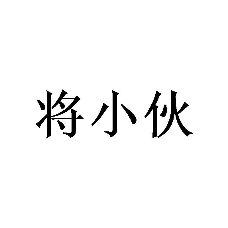 将小伙
