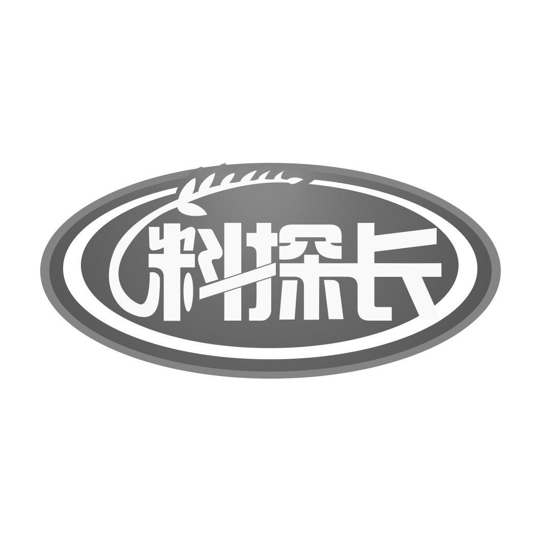 料探长