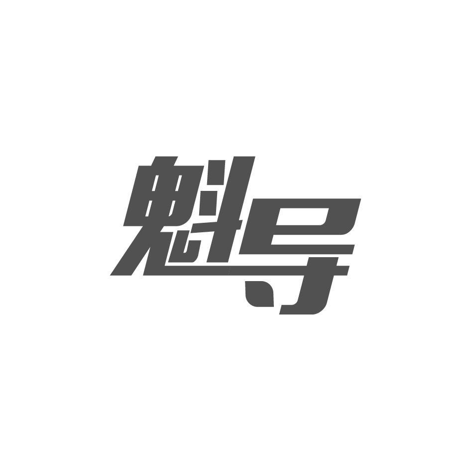 魁导