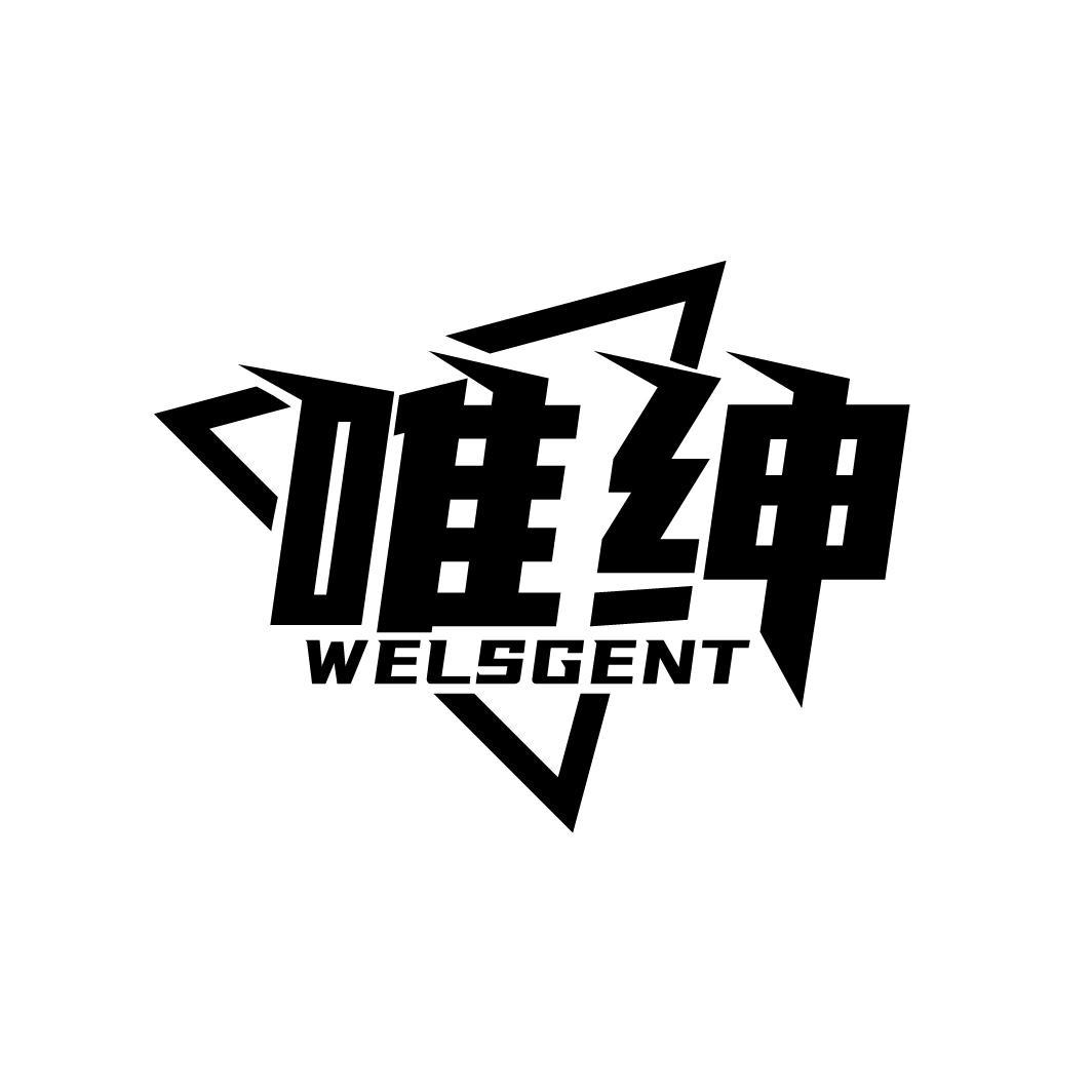 唯绅
 WELSGENT