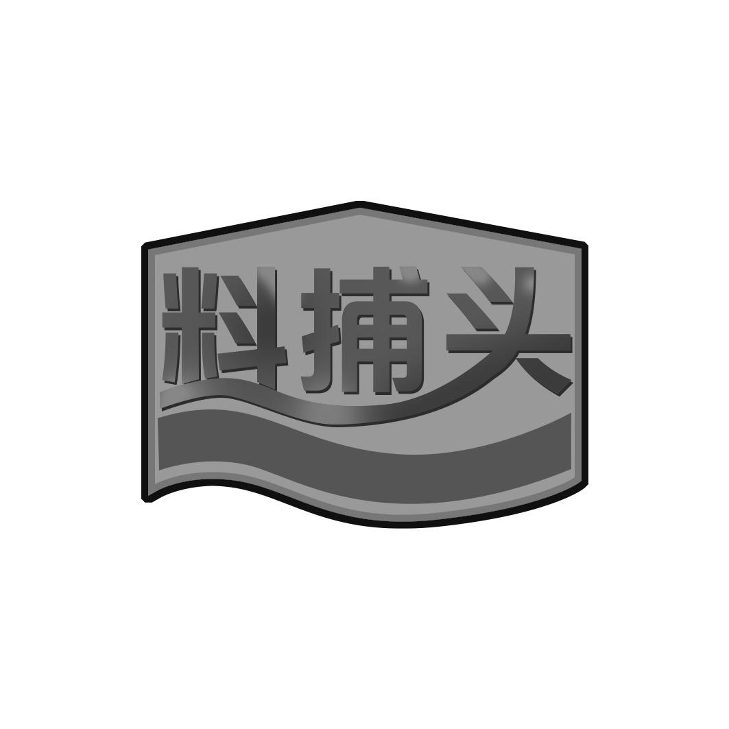 料捕头