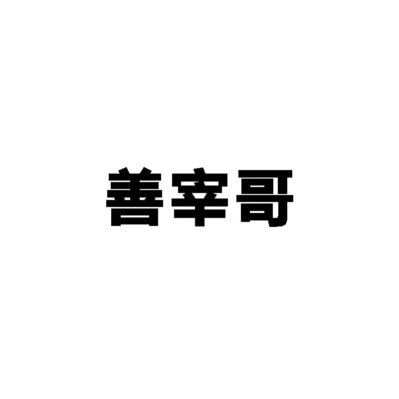 善宰哥