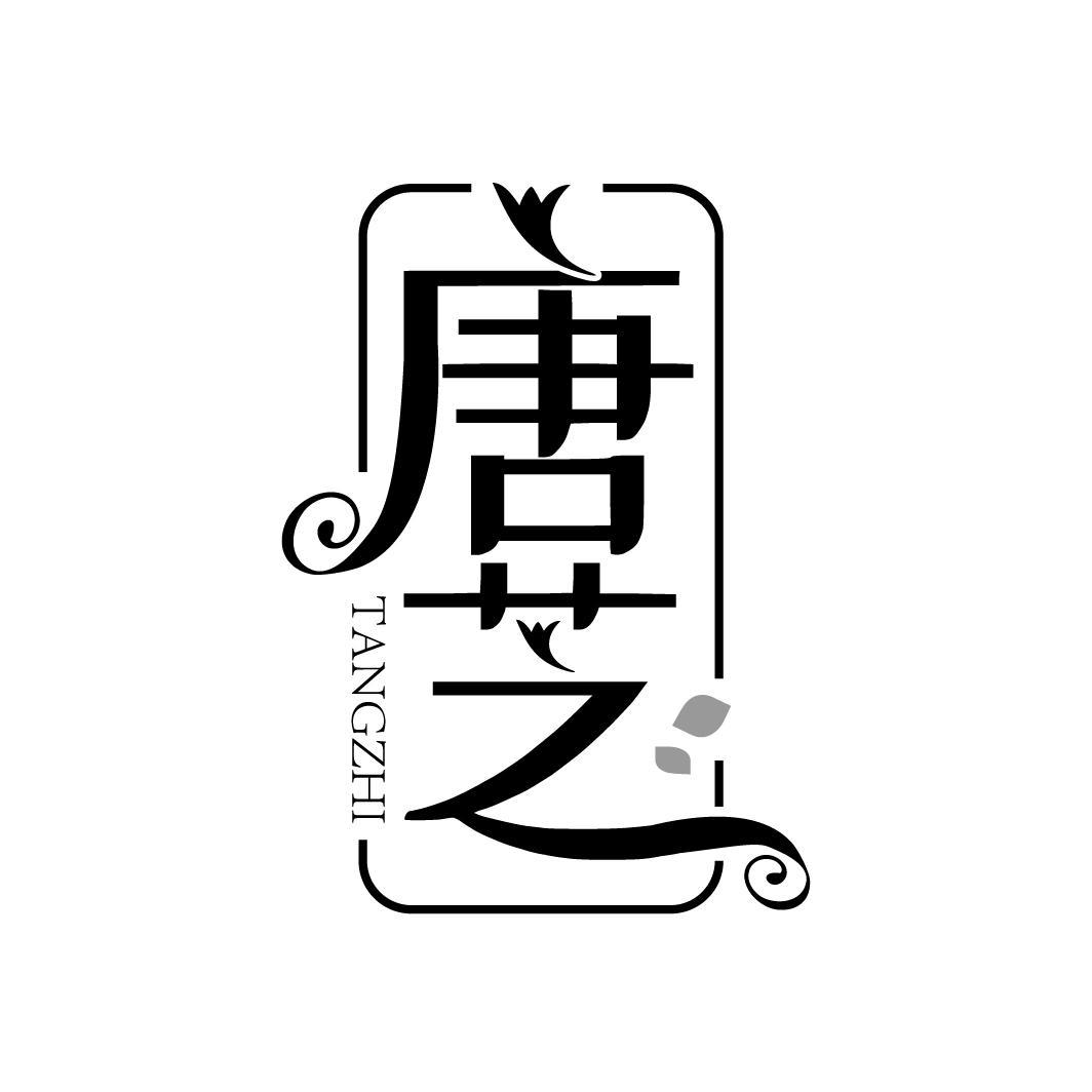唐芝
TANGZHI