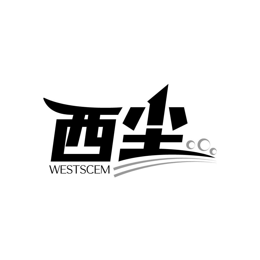 西尘
 WESTSCEM
