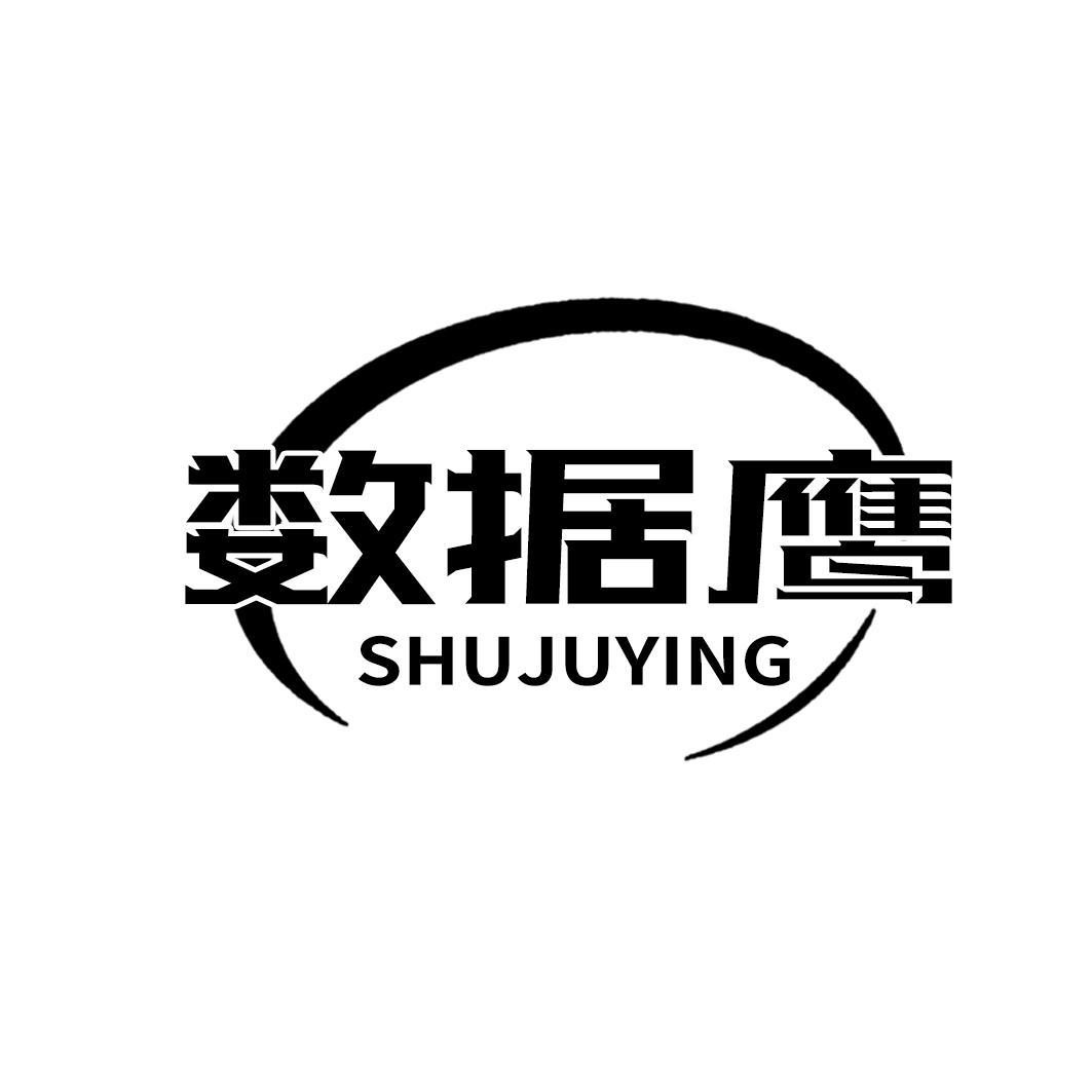 数据鹰