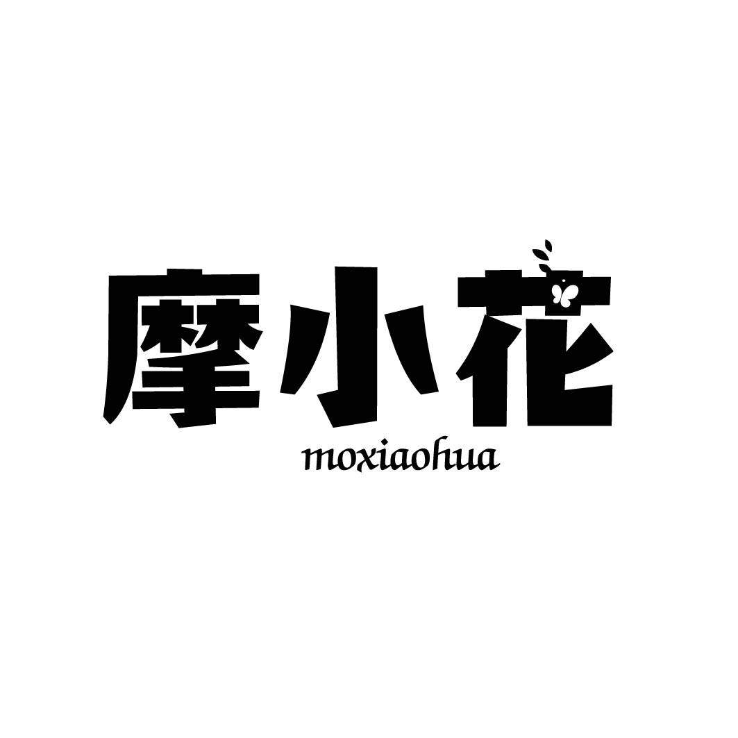 摩小花 