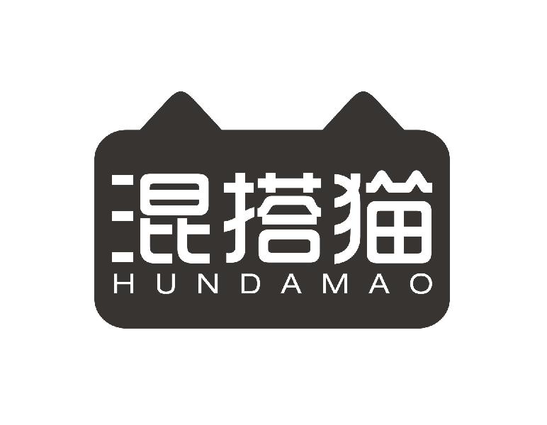 混搭猫