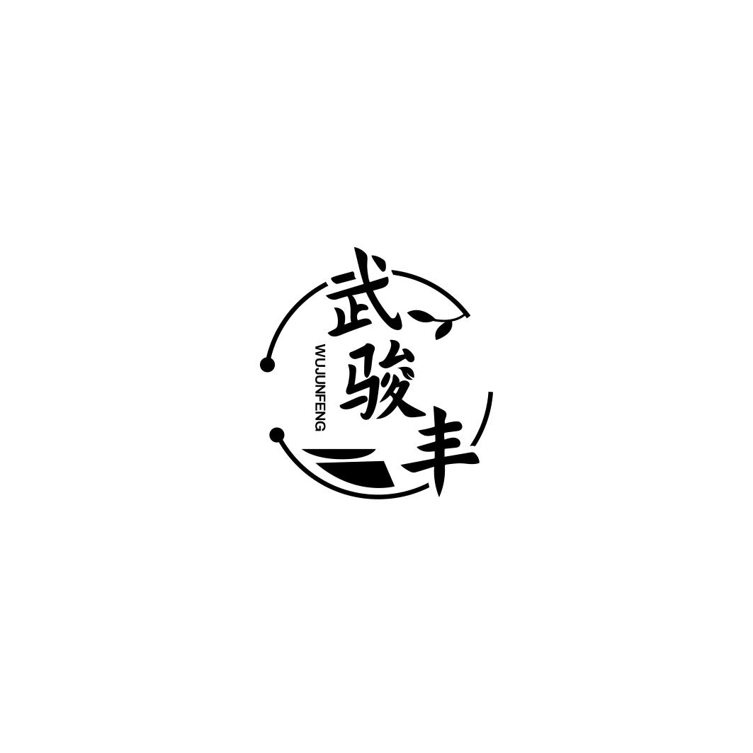 武骏丰