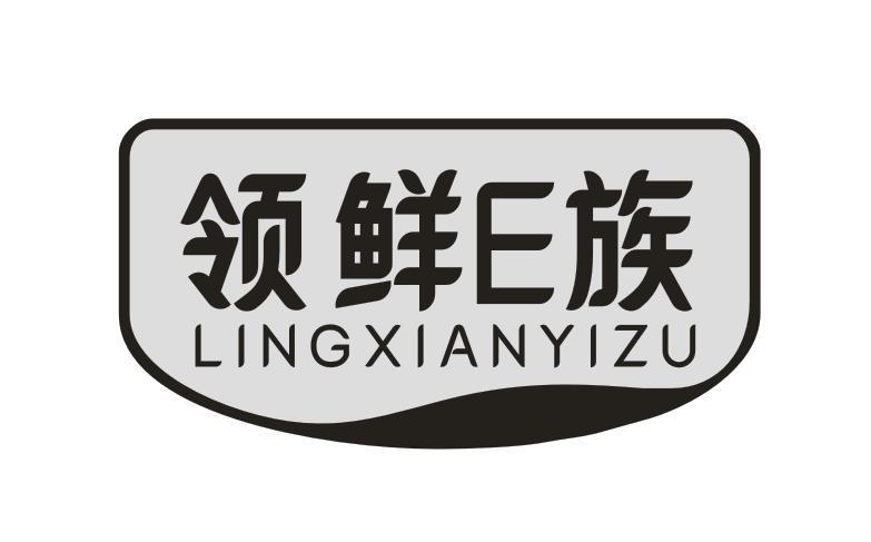 领鲜E族 LINGXIANYIZU