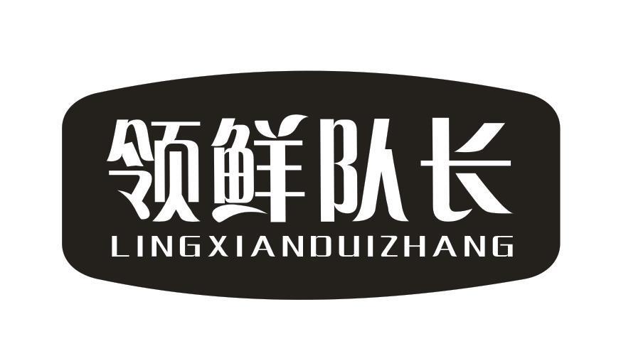 领鲜队长