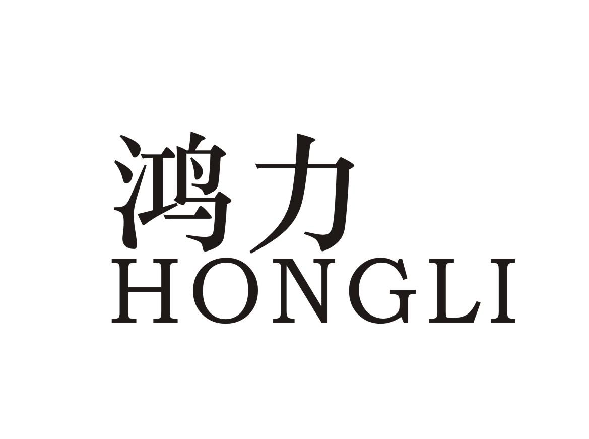 鸿力HONGLI