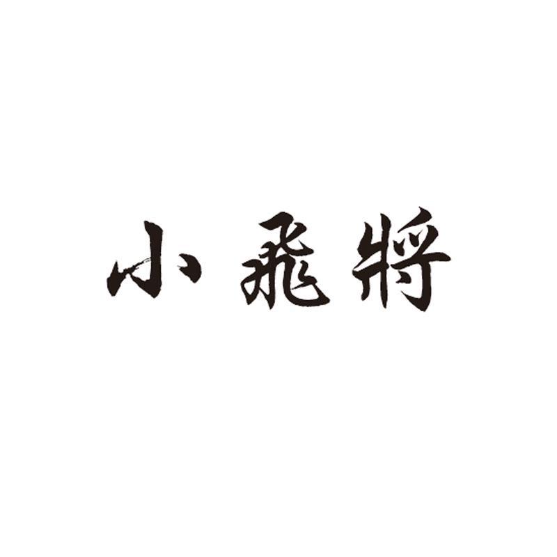 小飞将
