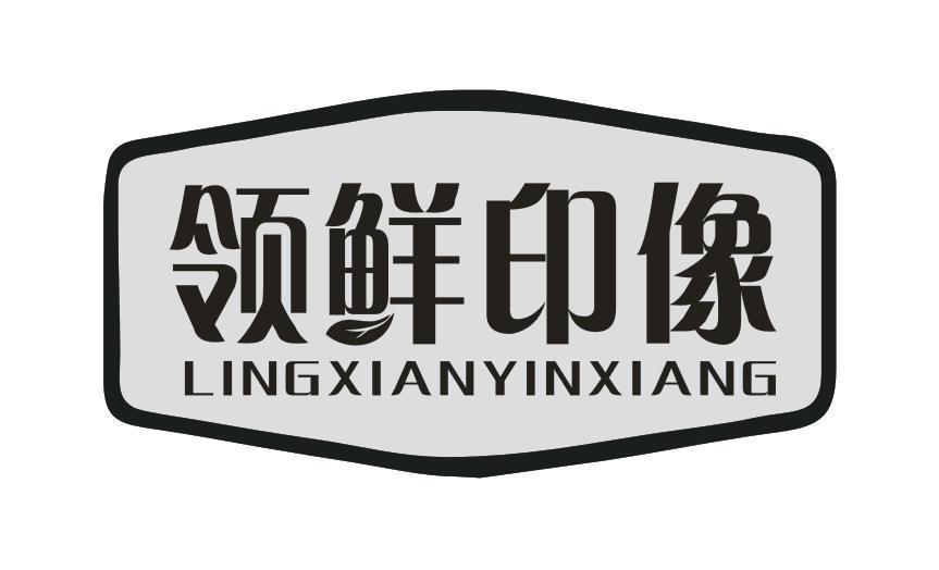 领鲜印像