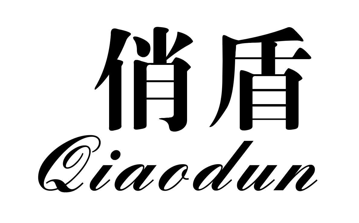 俏盾