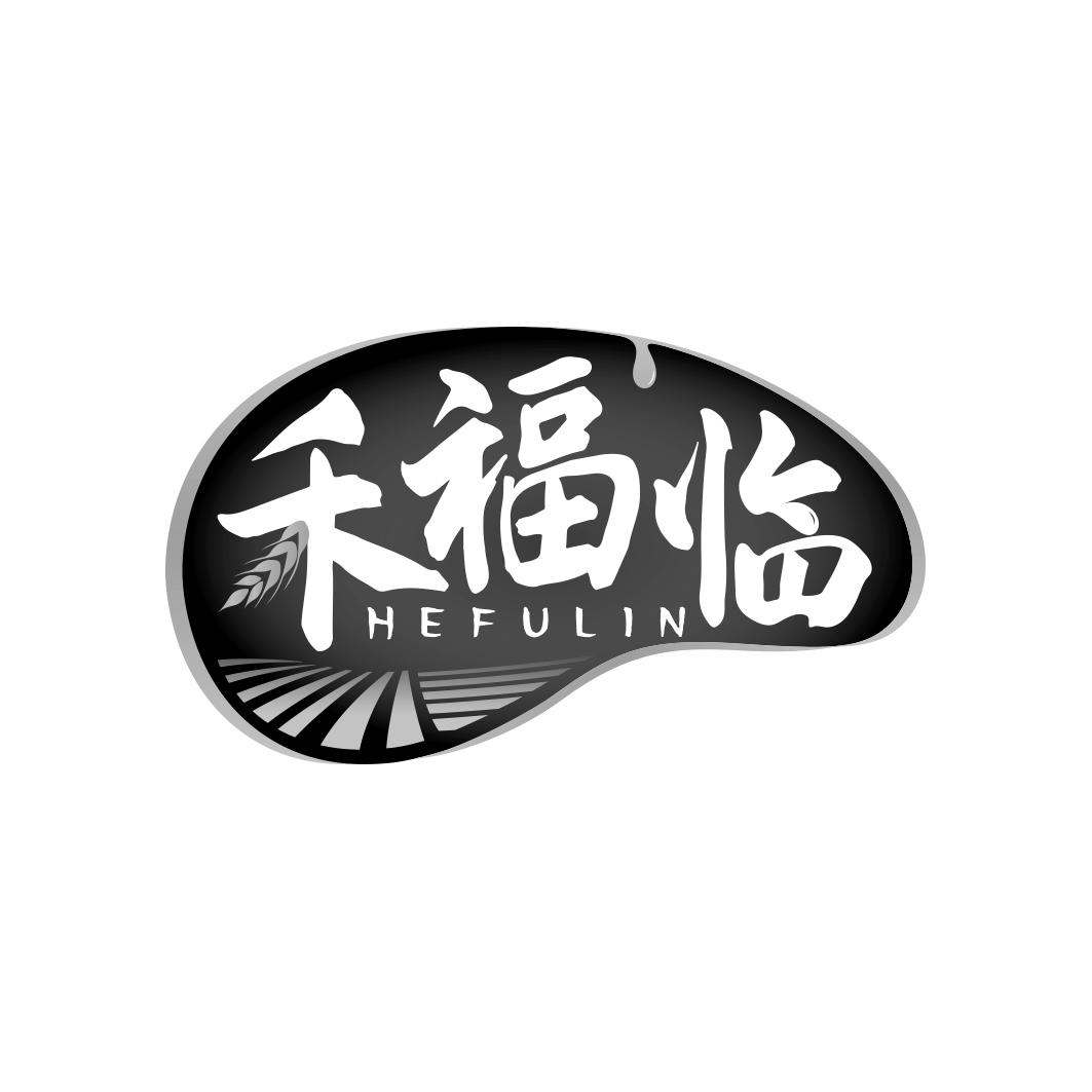 禾福临            HE FU LIN