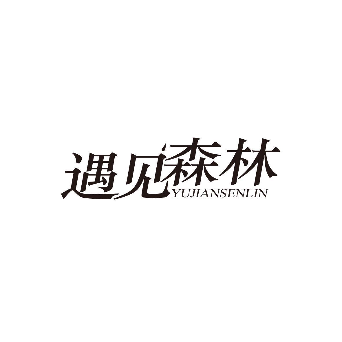 遇见森林