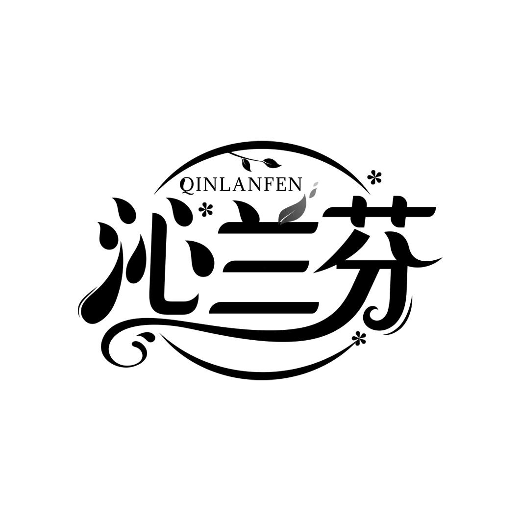 沁兰芬   QINLANFEN