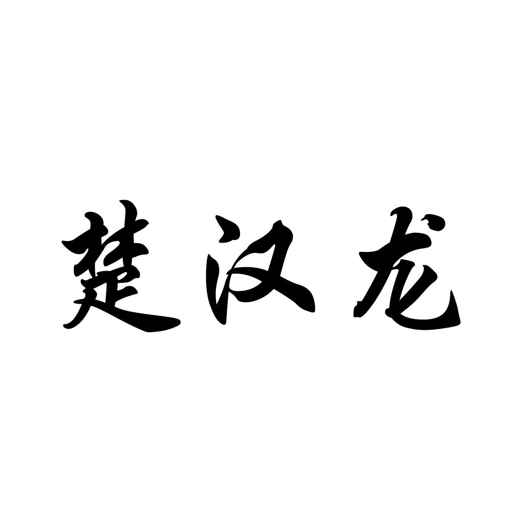 楚汉龙