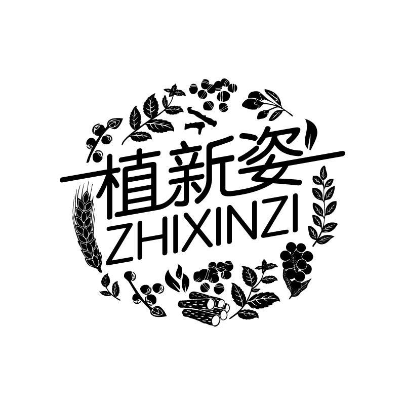 植新姿