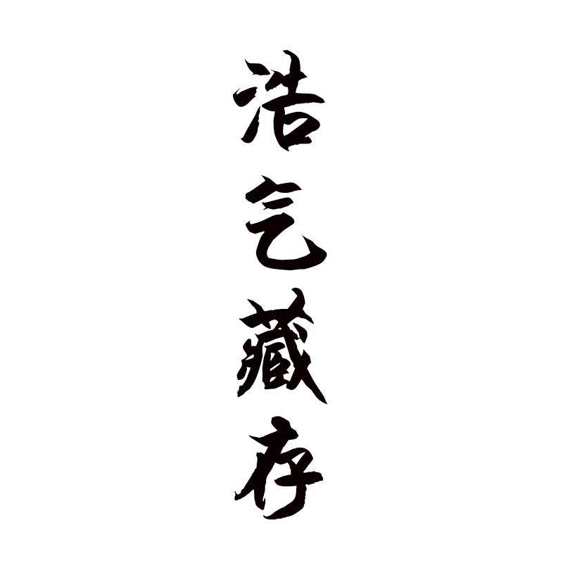  浩气藏存