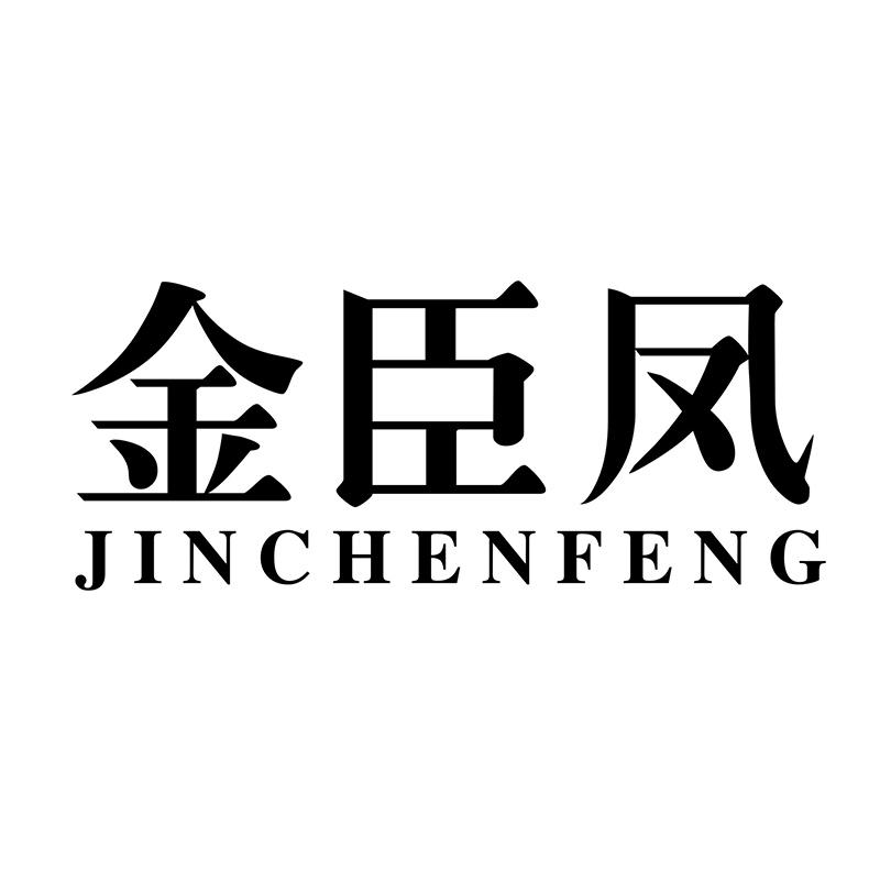 金臣凤JINCHENFENG