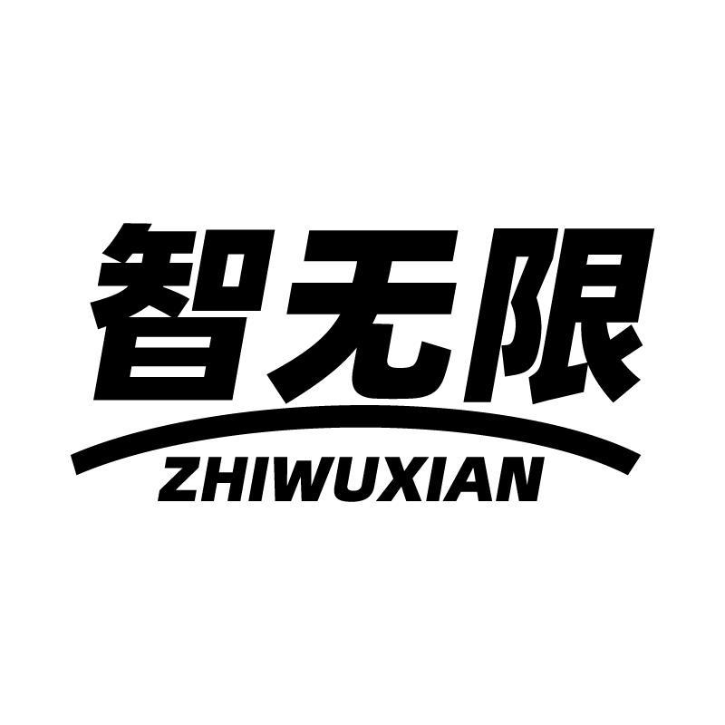 智无限