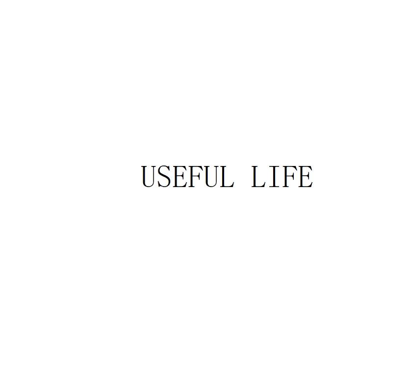 USEFULLIFE
