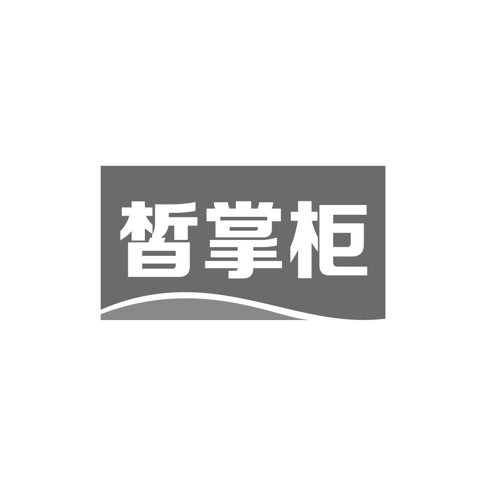 皙掌柜