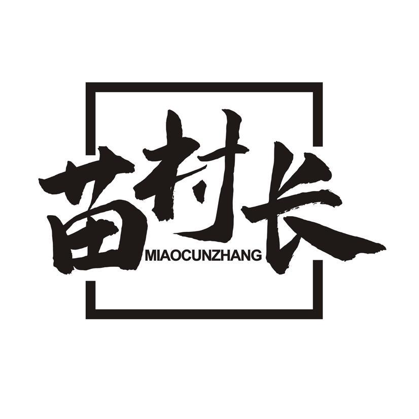 苗村长