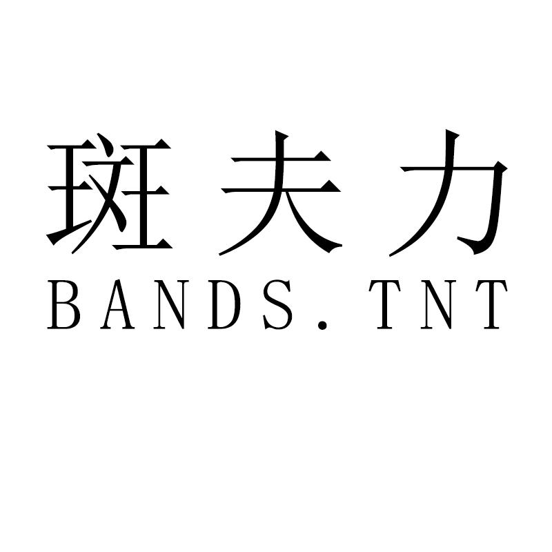  斑夫力 BANDS.TNT