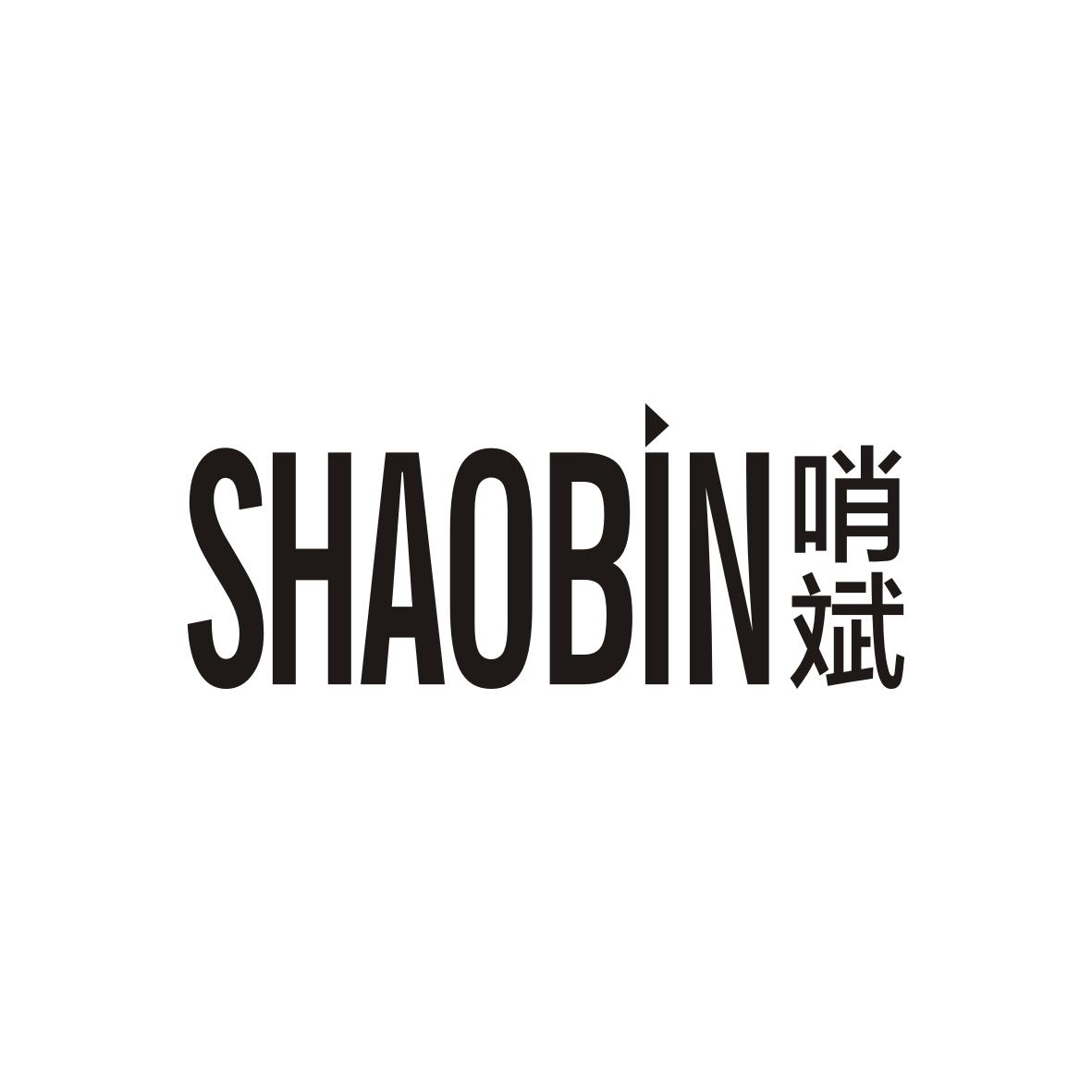 哨斌  SHAOBIN