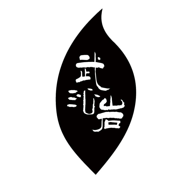 武沁岩