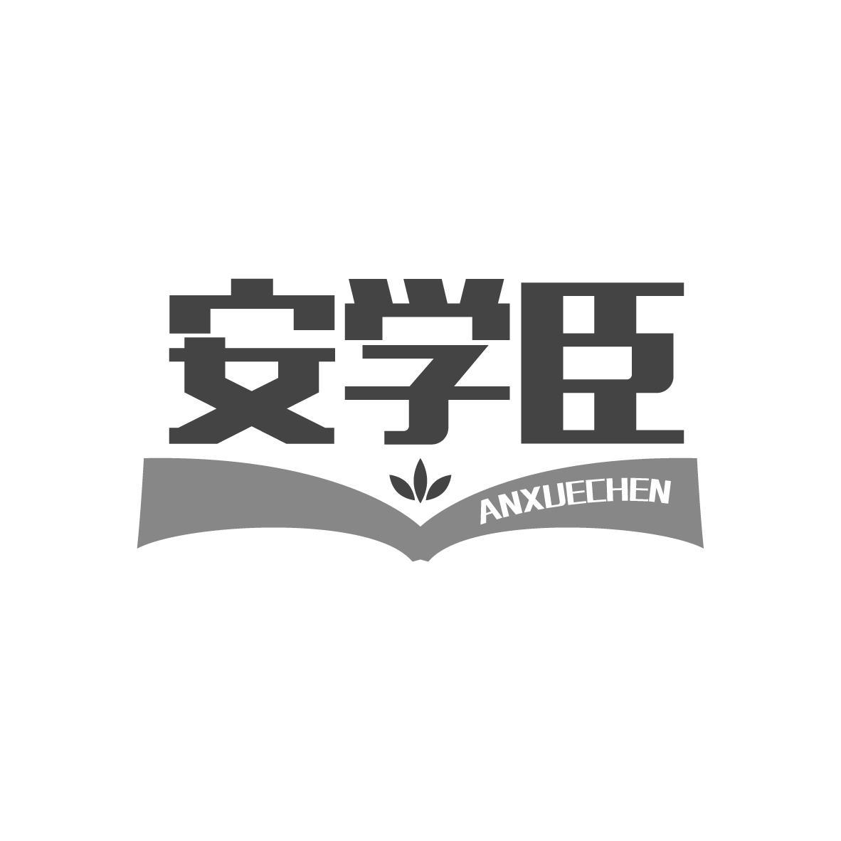 安学臣
ANXUECHEN