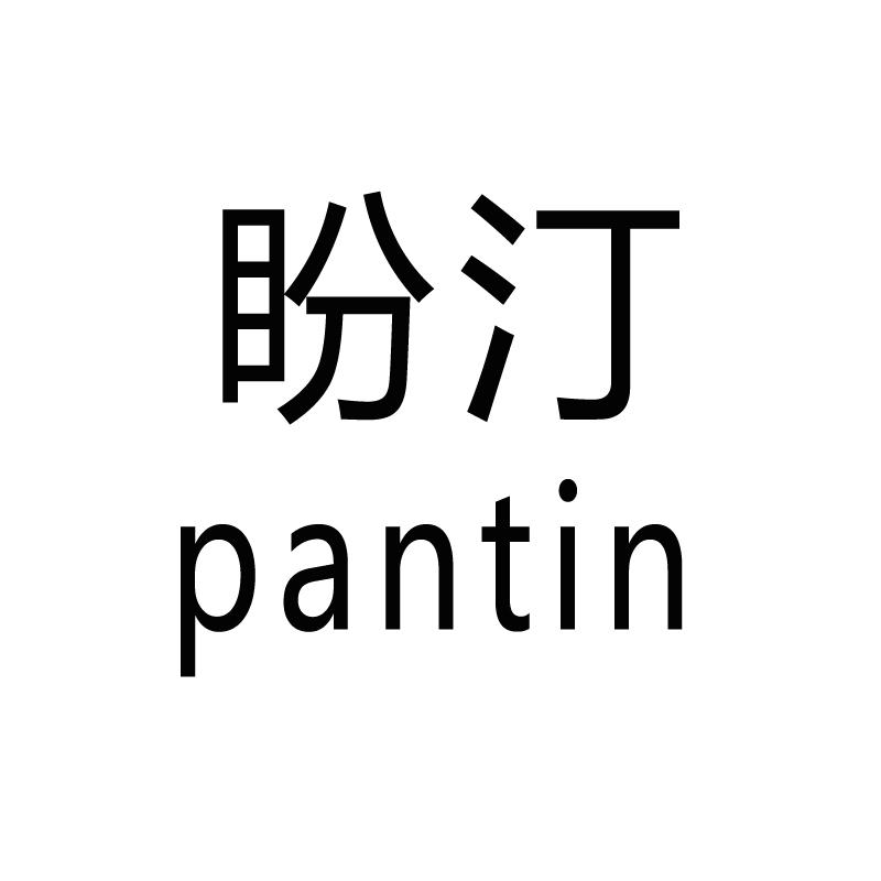 盼汀