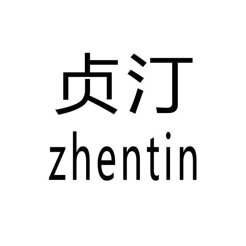 贞汀