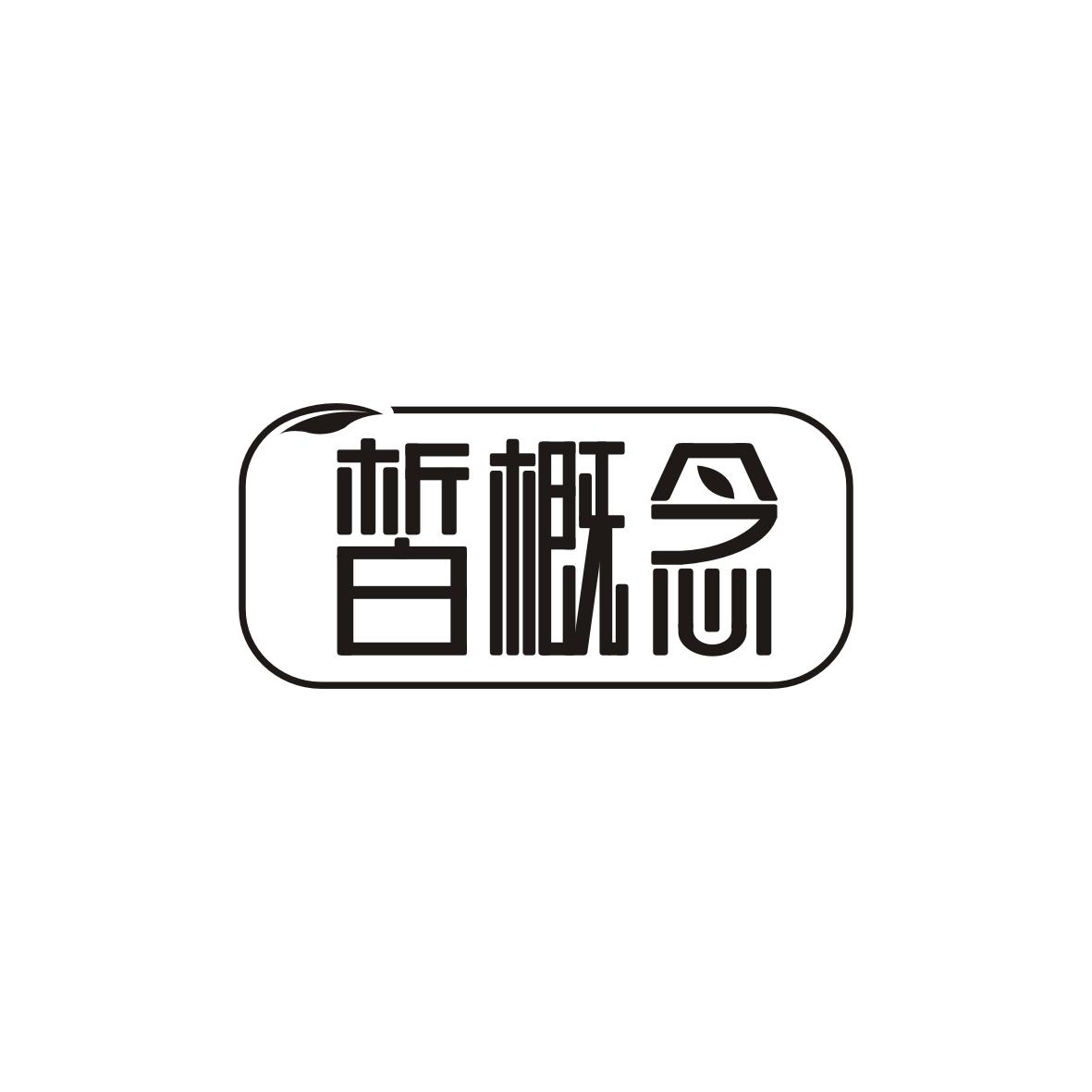 皙概念