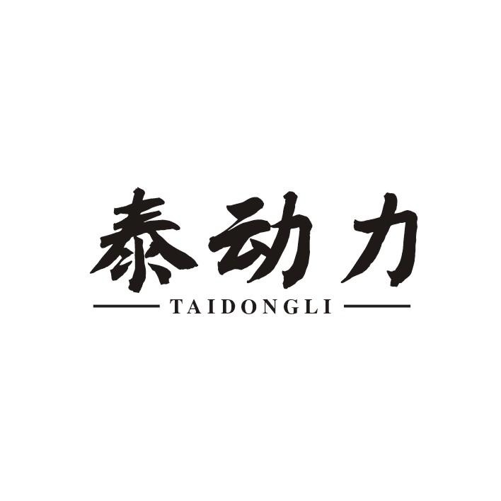 泰动力