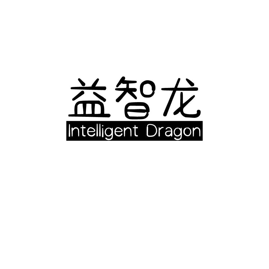 益智龙 INTELLIGENT DRAGON
