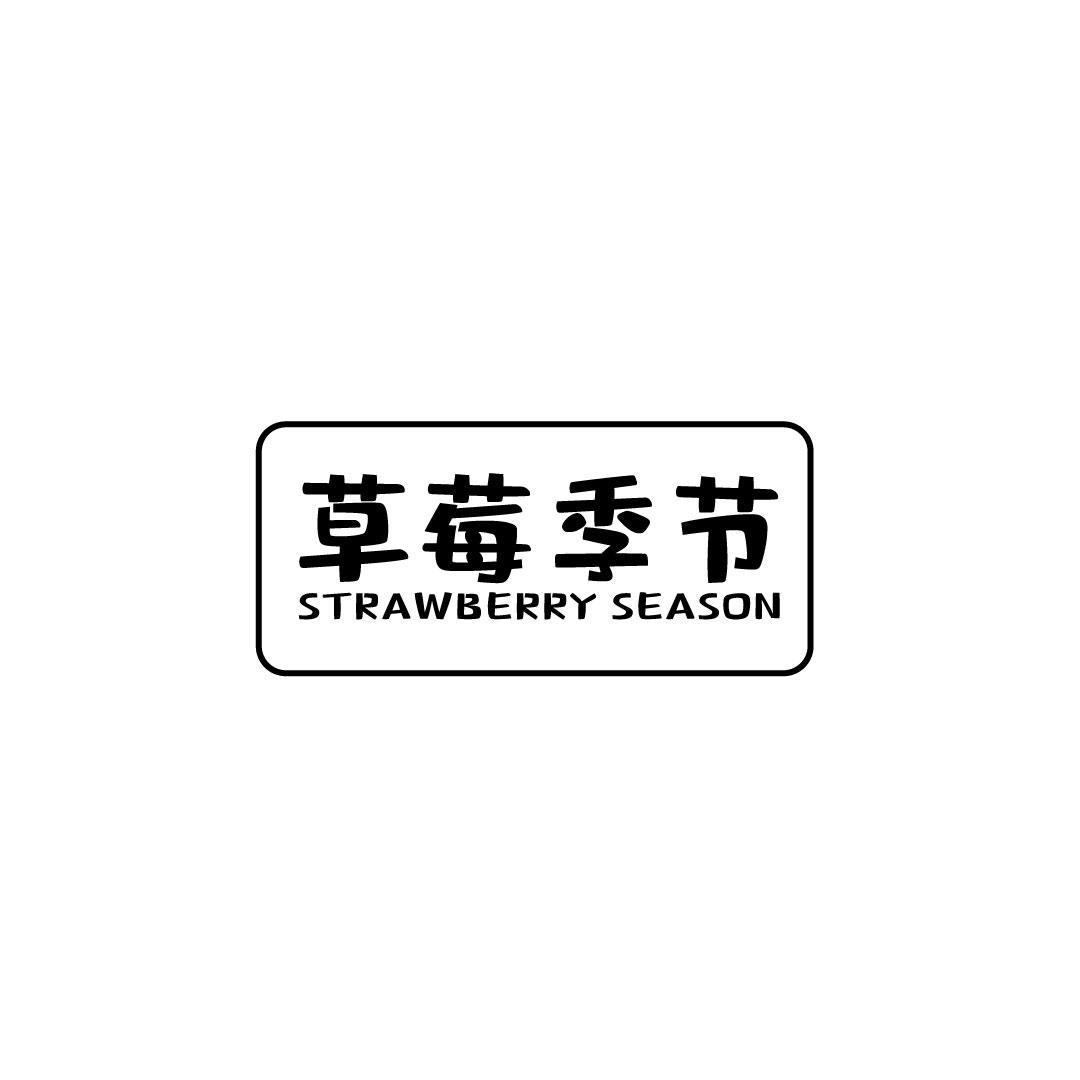 草莓季节 STRAWBERRY SEASON
