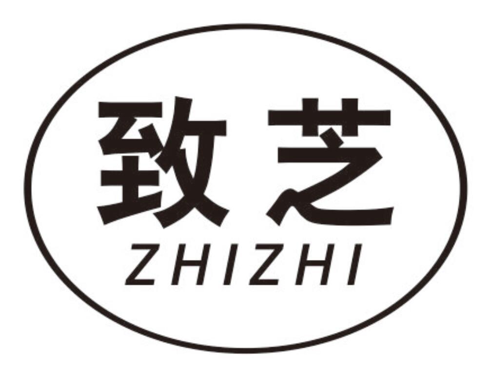 致芝ZHIZHI