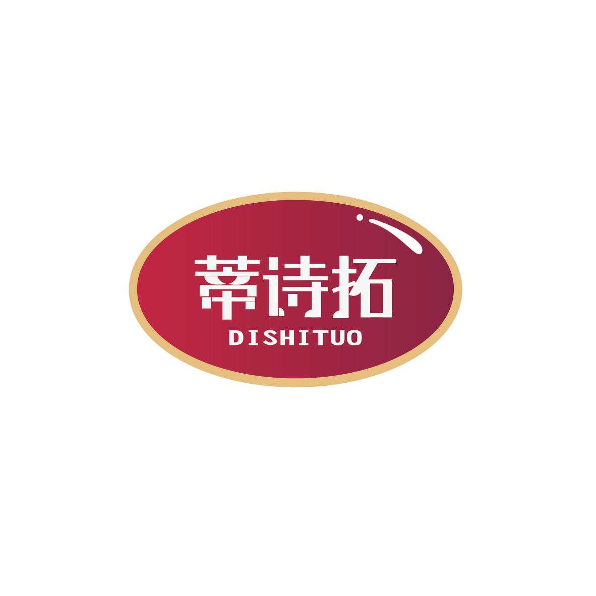 蒂诗拓DISHITUO+图形
