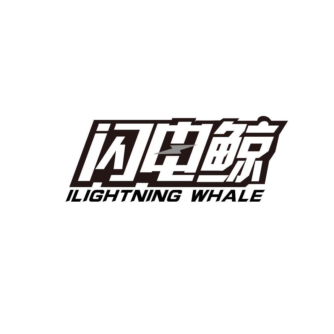 闪电鲸  ILIGHTNING WHALE