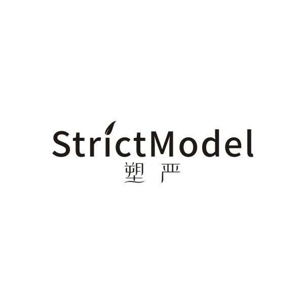 塑严 STRICTMODEL