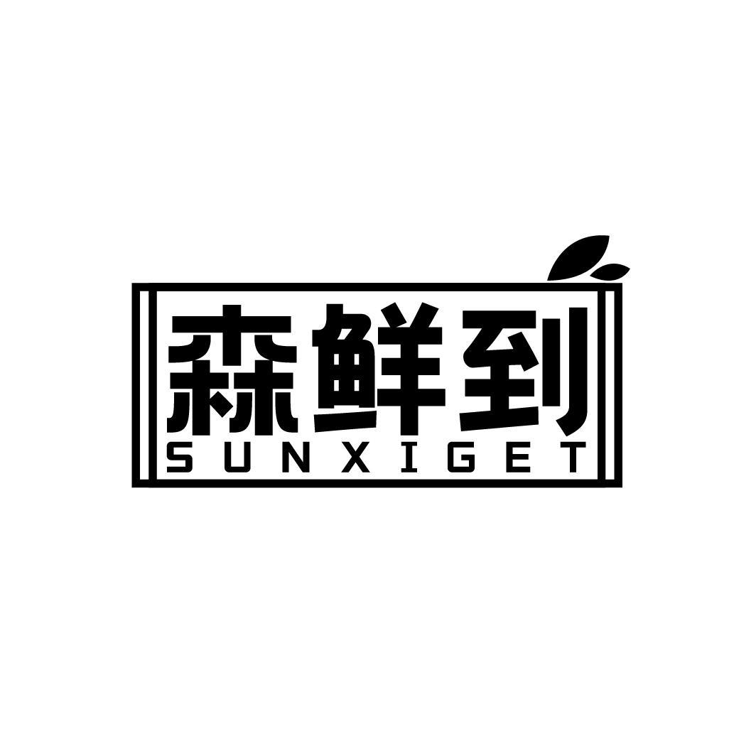 森鲜到
SUNXIGET