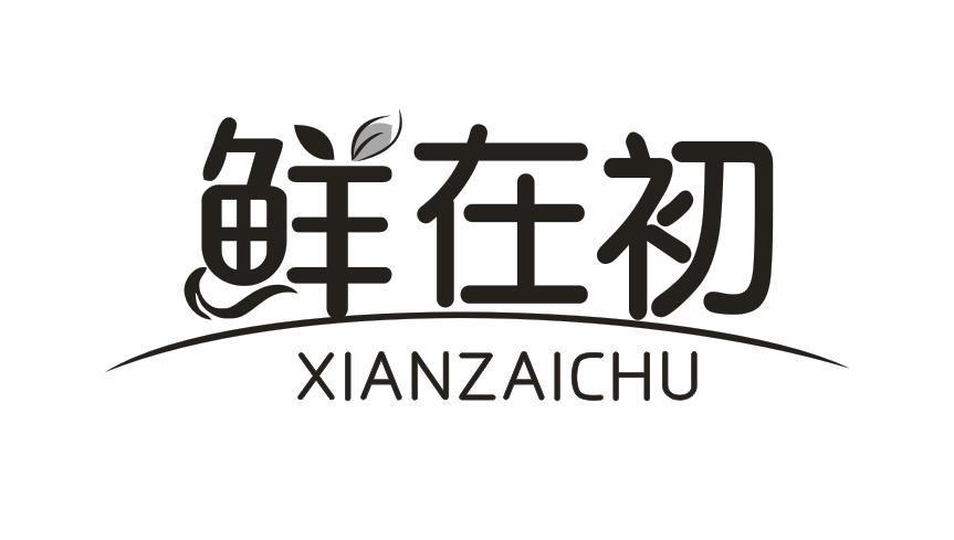 鲜在初