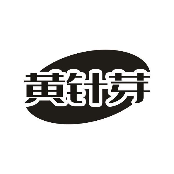 黄针芽