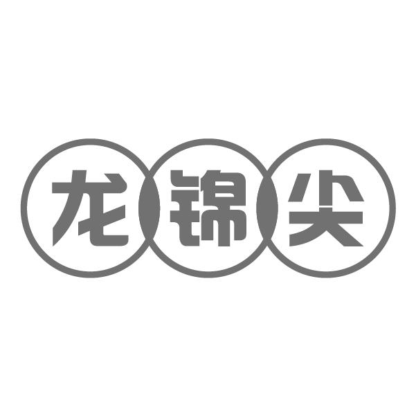 龙锦尖