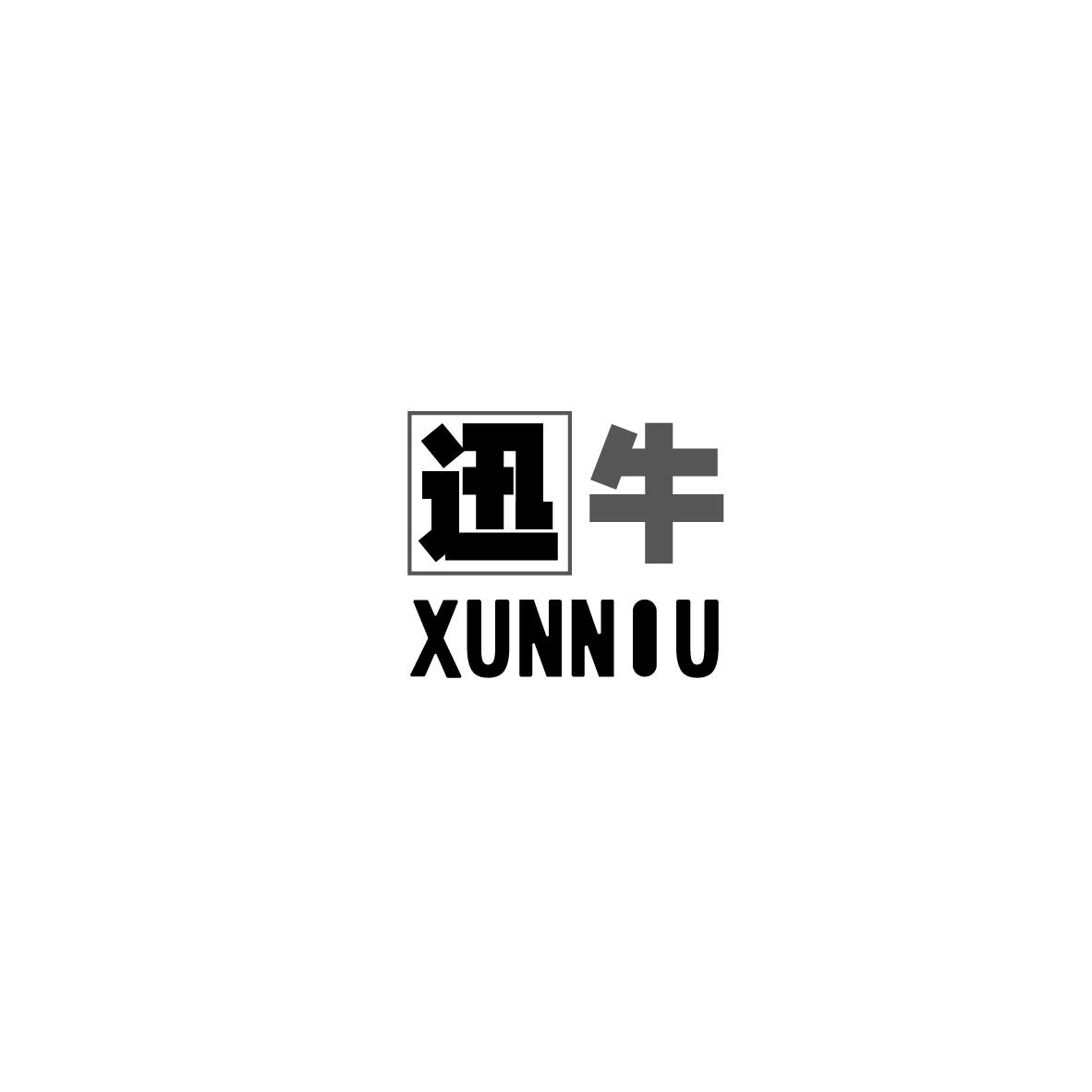 迅牛XUNNIU+图形