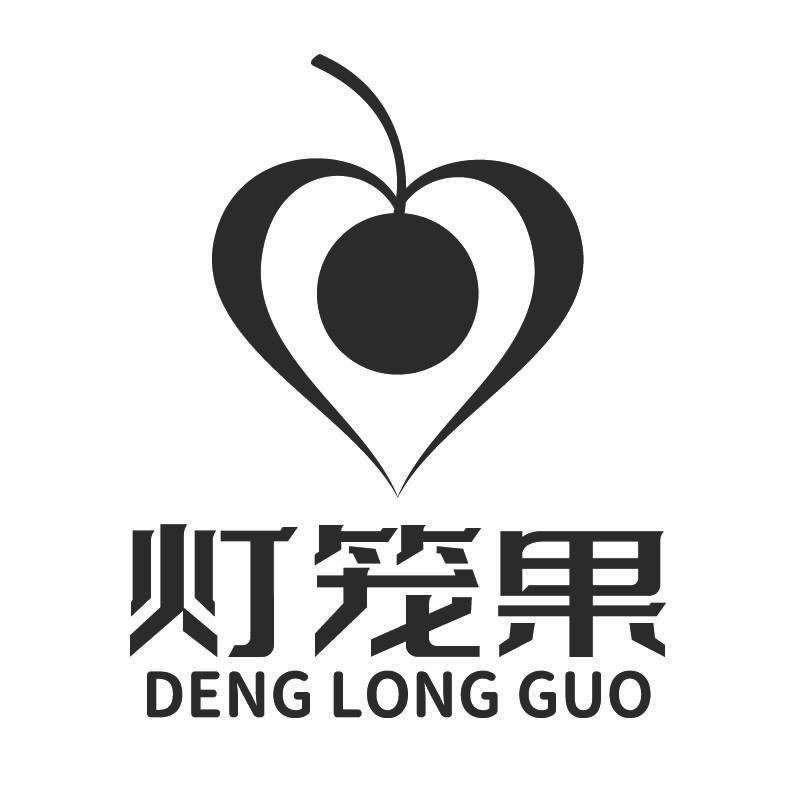 灯笼果+拼音+图形